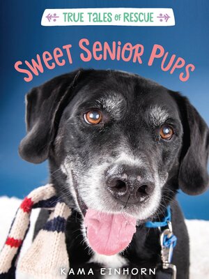 cover image of Sweet Senior Pups